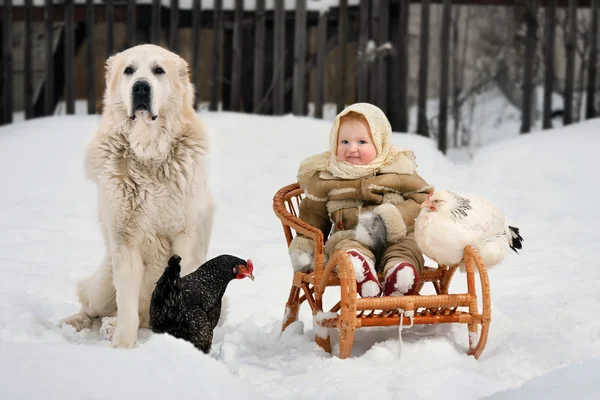 Девушка с курами и собакой — стоковое фото