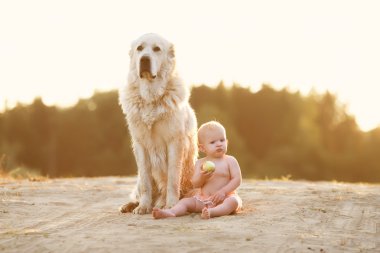 küçük bebek ve büyük köpek
