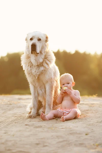 Pequeño bebé y perro grande —  Fotos de Stock