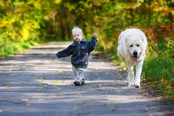 Little baby and big dog — Stock Photo, Image