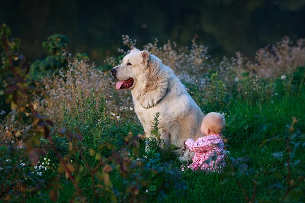 Kleines Baby und großer Hund — Stockfoto