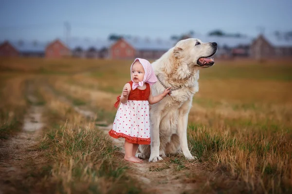 Маленька дитина і великий собака — стокове фото