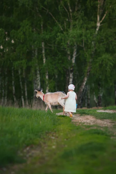 Девушка с козой — стоковое фото