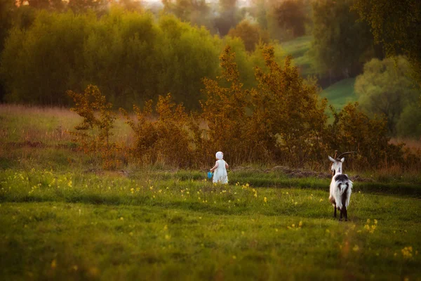 The girl with the goat — Stock Photo, Image