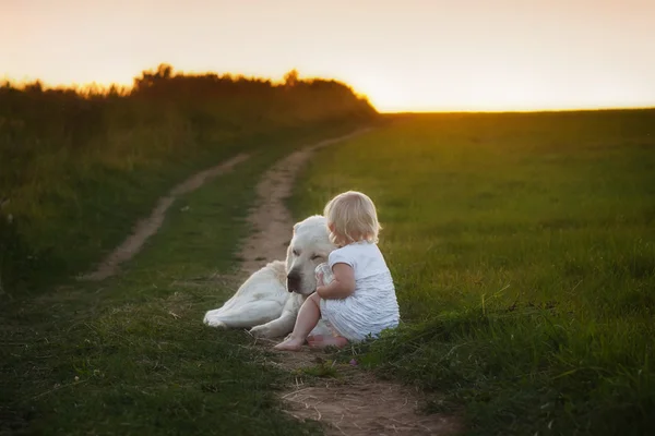 Дівчина з собакою на заході сонця — стокове фото
