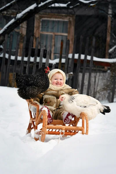 Ребенок в санях с курами — стоковое фото