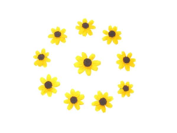 黄色の花の髪飾り — ストック写真