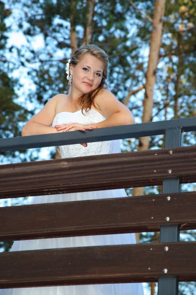 Portrait of Bride — Stock Photo, Image