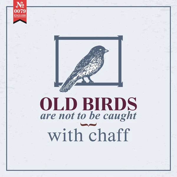 Old birds are not to be caught — Stock Vector