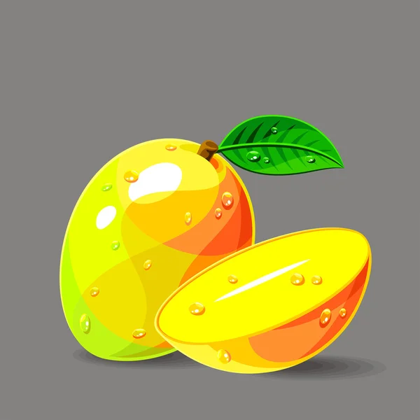 Mango fresco — Vector de stock