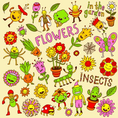 Flowers and insects