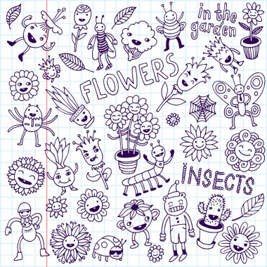 Flowers and insects