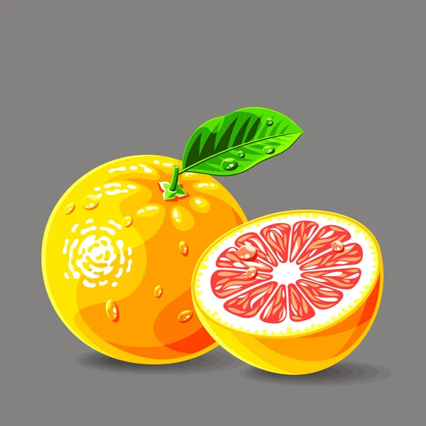 Fresh grapefruit's with water drops — Stock Vector