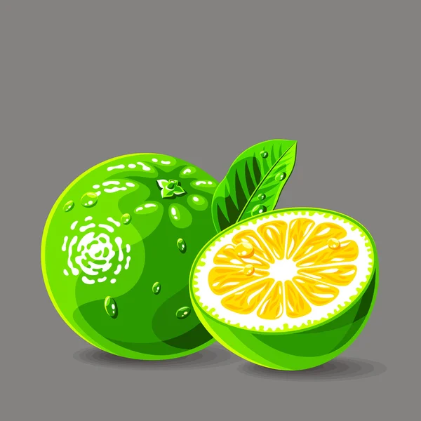 Verse groene grapefruit met waterdruppels. — Stockvector