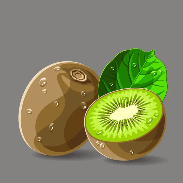 Kiwis frais avec gouttes d'eau — Image vectorielle