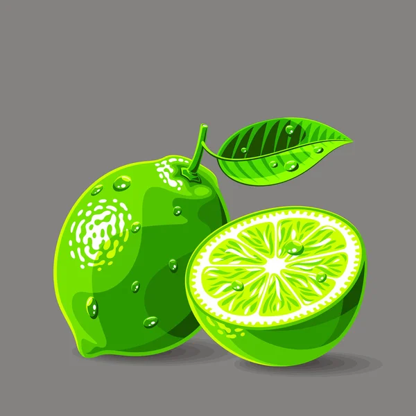 Fresh limes with water drops — Stock Vector