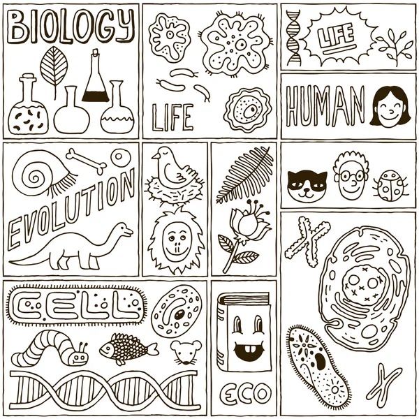 Biologia ciência Banners conjunto . — Vetor de Stock