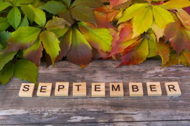 Sonbahar kompozisyonu, üst manzara. Tahta arka planda yaprakları olan mektuplar, Eylül kelimesi.