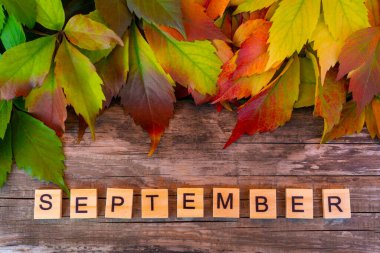 Sonbahar kompozisyonu, üst manzara. Tahta arka planda yaprakları olan mektuplar, Eylül kelimesi.