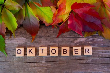 Sonbahar kompozisyonu, üst manzara. Tahta arka planda yaprakları olan harfler.