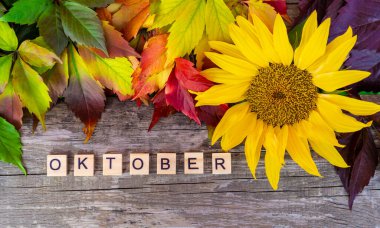 Sonbahar kompozisyonu, üst manzara. Tahta arka planda yaprakları ve ayçiçekleri olan mektuplar.