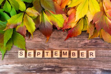 Sonbahar kompozisyonu, üst manzara. Tahta arka planda yaprakları olan mektuplar, Eylül kelimesi.