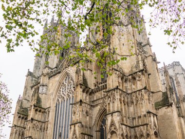York, İngiltere, - 23 Kasım 2019. Ağaçların altında yakalanan bir ortaçağ kilisesinin illüstrasyon fotoğrafı.