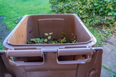 Selective close up focus of a brown gardening bin full of hornbeam hedge clippings clipart