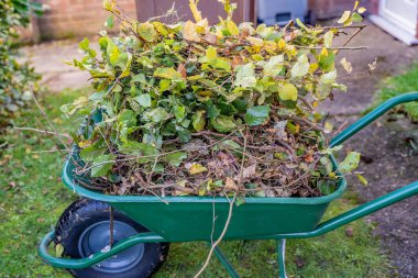 Çit kupürleri ve çalılarla dolu el arabasını kapat.