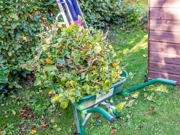 Arka planda manuel çit makasıyla çiti kesen kimliği belirsiz genç bir bayanla dolu bir el arabası.