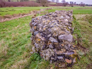 Norfolk ilçesi Caistor St Edmond 'daki Roma kasabasının harabelerindeki taş duvarın bir kısmına odaklanın.