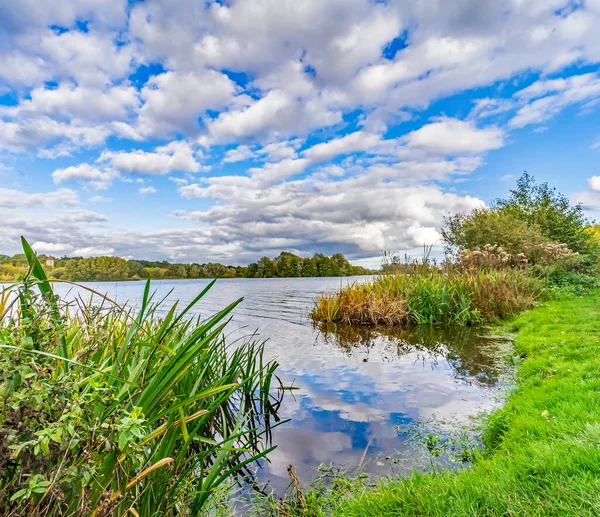 Whittlingham Broad kıyısındaki ağaçların ve yaprakların arkasında, Norfolk kırsalındaki uzak bir göl.
