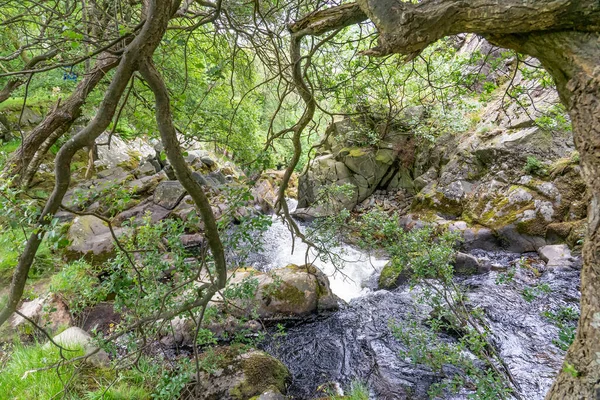 Dev Mawr, Llanberis 'in su seviyesi, Kuzey Galler. Llanberis 'te görülmesi gerekenlerden biri olarak görülüyordu.