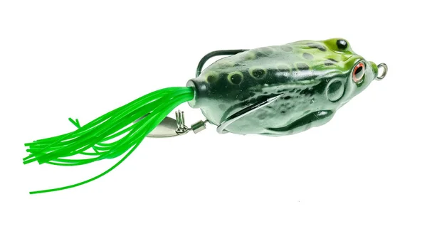 Yüzeydeki kurbağa avlamak için kullanılan balık yemi ve levreği sade beyaz bir arka planda izole etmek için kullanılır.