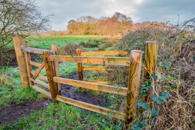 Norfolk kırsalında tarlaları ayıran tahta bir kapı.