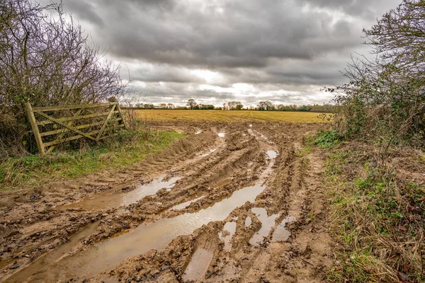 Entrance to an arable field, full of water filled tractor ruts, in the countryside of rural Norfolk