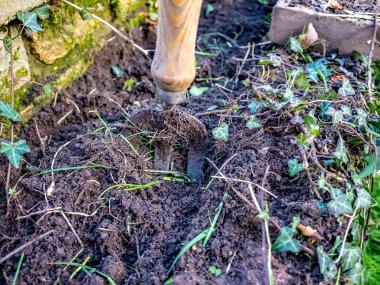 Çiçek tarlasına saplanmış küçük bir bahçe çatalı.