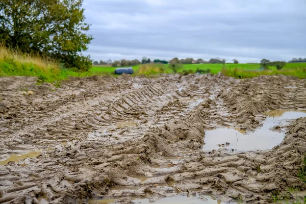 Muddy Water Logged Entrance Arable Field Rural Norfolk — Stock Photo, Image