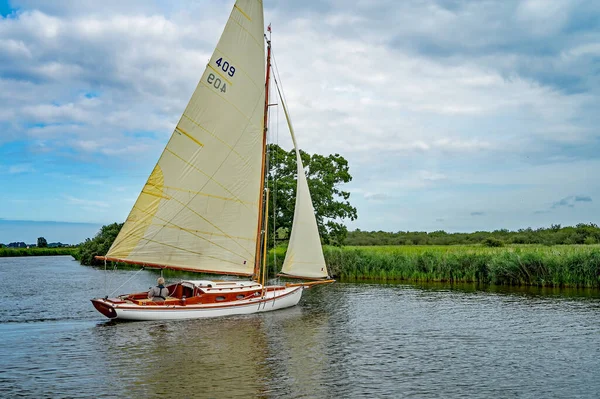 Boynuz, Norfolk, İngiltere - 03 Ağustos 2019. Geleneksel bir yelkenli teknesinde Norfolk Hatunları 'ndaki Bure Nehri' nde gezen yalnız bir denizcinin illüstrasyon fotoğrafı.