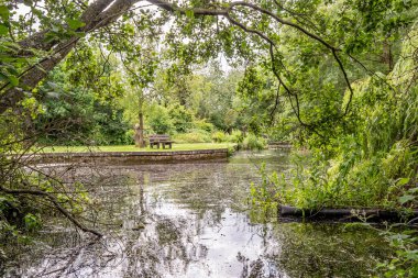 Kubbenin altından ve kirli bir göletin kıyısındaki ağaçların arasından bir manzara.