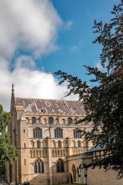 Norwich şehrindeki ortaçağ katedralinin manastırı.
