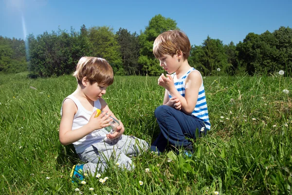 双子の兄弟のグリーンに座ってガラスの瓶に蝶と遊ぶフィールド楽しんで晴れた春の日 — ストック写真