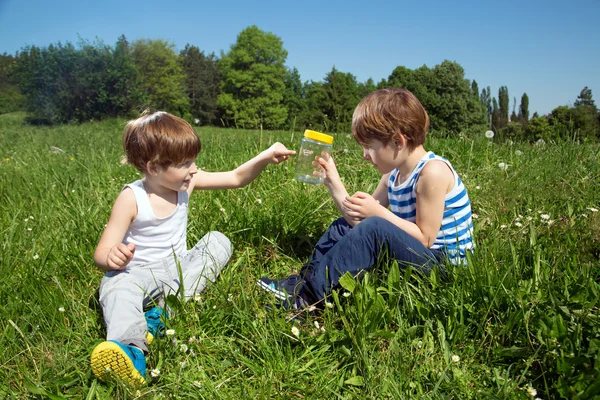 Kleiner Junge zeigt seinem Zwillingsbruder einen Schmetterling im Glas, während er an einem sonnigen Tag im Gras sitzt — Stockfoto