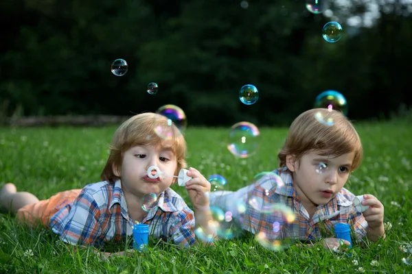 Kleine Zwillingsbrüder pusten Seifenblasen auf grünem Gras im Sommerpark — Stockfoto