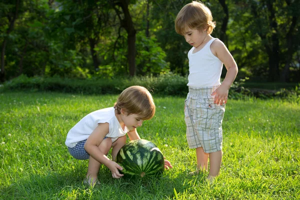 Happy Twin Brothers Jouer avec pastèque sur herbe verte dans Summer Park — Photo