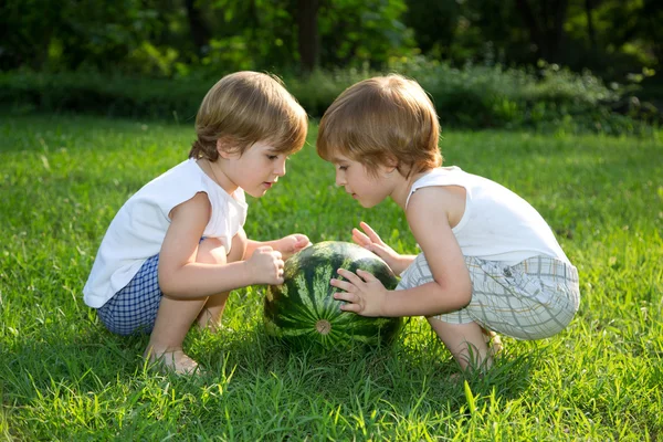 Happy Twin Brothers Jouer avec pastèque sur herbe verte dans Summer Park — Photo