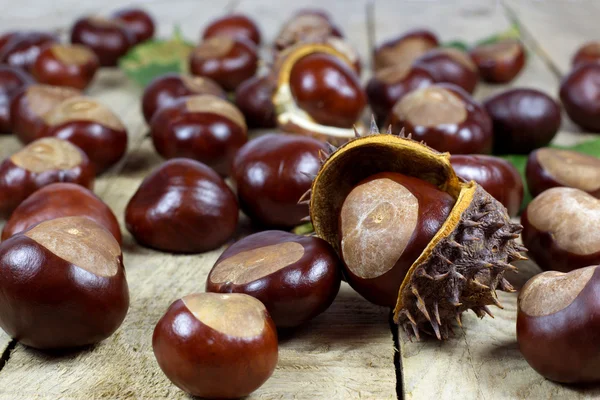 Marrons frais d'une récolte d'automne et croûte barbelée sur une vieille table en bois aux feuilles vertes — Photo