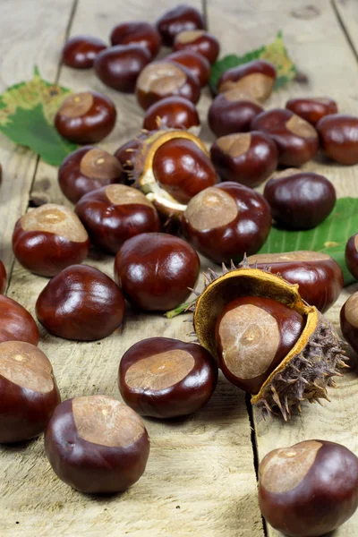 Castanhas frescas de uma colheita de outono e crosta farpada em uma mesa de madeira velha com folhas verdes — Fotografia de Stock