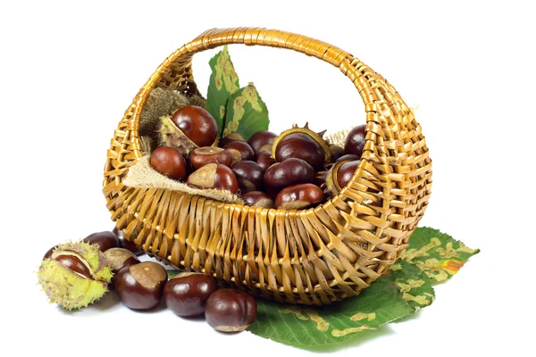 Chestnuts in Wicker Basket on Green Leaves Isolated on White — Stock Photo, Image