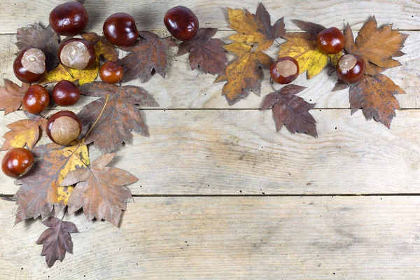 Cadre d'automne de châtaignes et feuilles brunes sur fond en bois — Photo